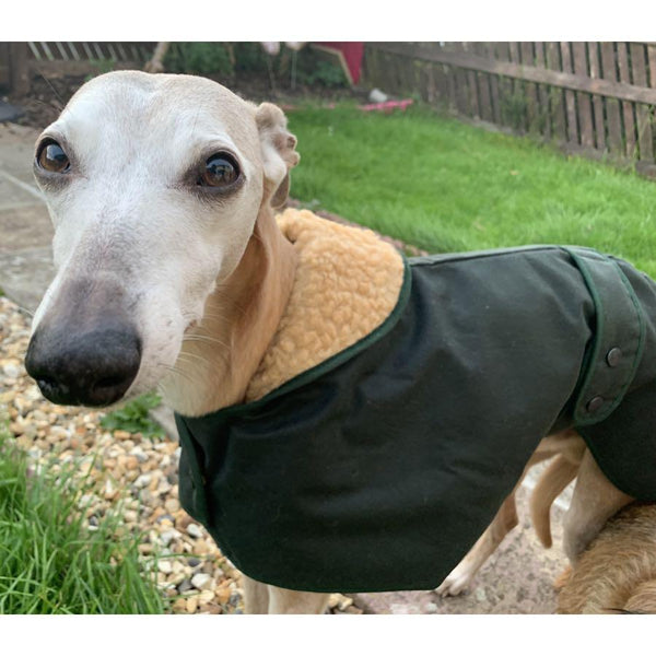 Barbour sale whippet coat