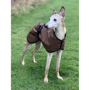 barbour whippet coat