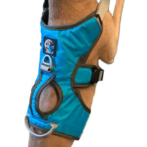 Greyhound harness / Whippet harness - Escape Proof with 3 Straps