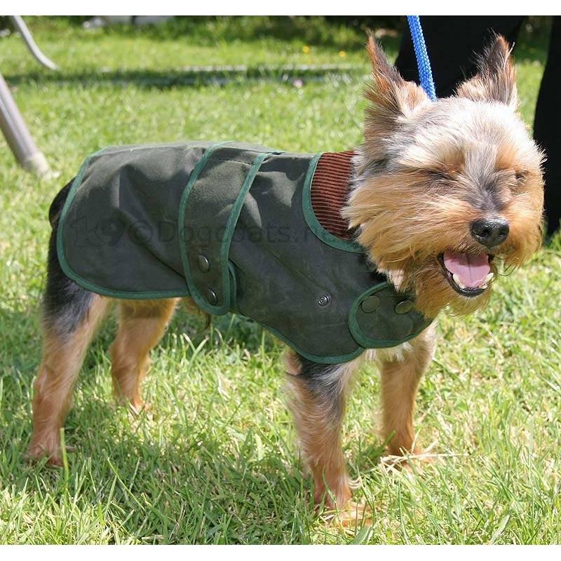 barbour dog wax jacket