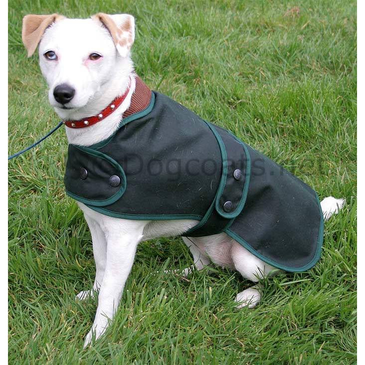 waxed waterproof dog coats