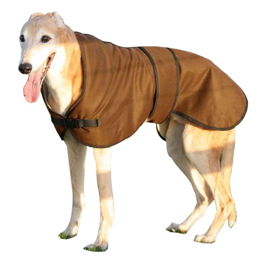 greyhound wax coat