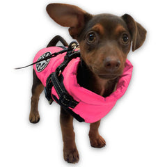 Neon Pink dog coat