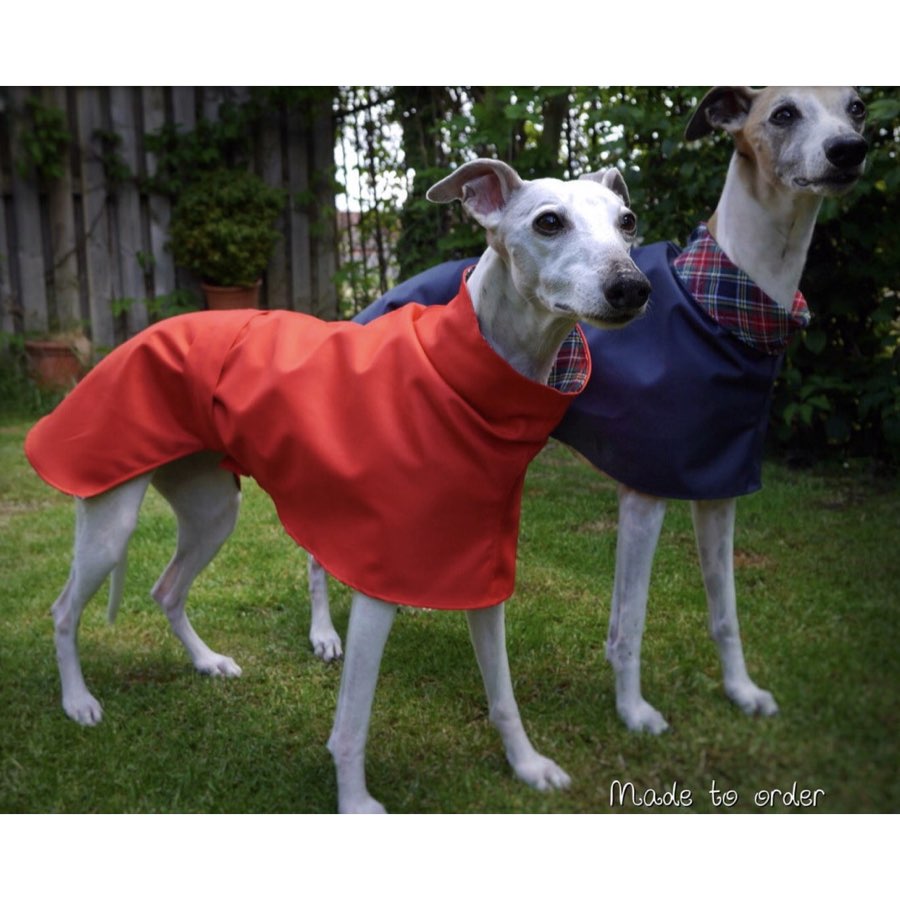 whippet raincoat