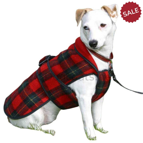 Dog Coats & Jackets for Most Breed of Dogs, Waterproof | DryDogs.co.uk