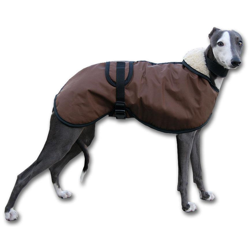 barbour whippet coat