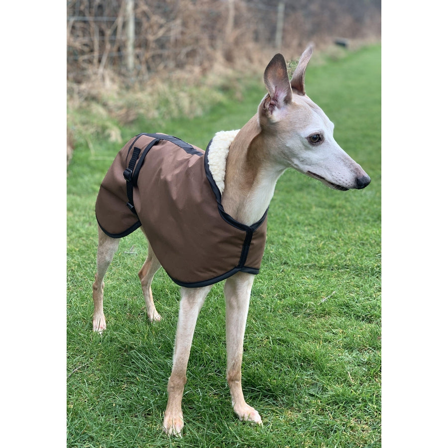 Wax Whippet Coats in Sandstone wax 