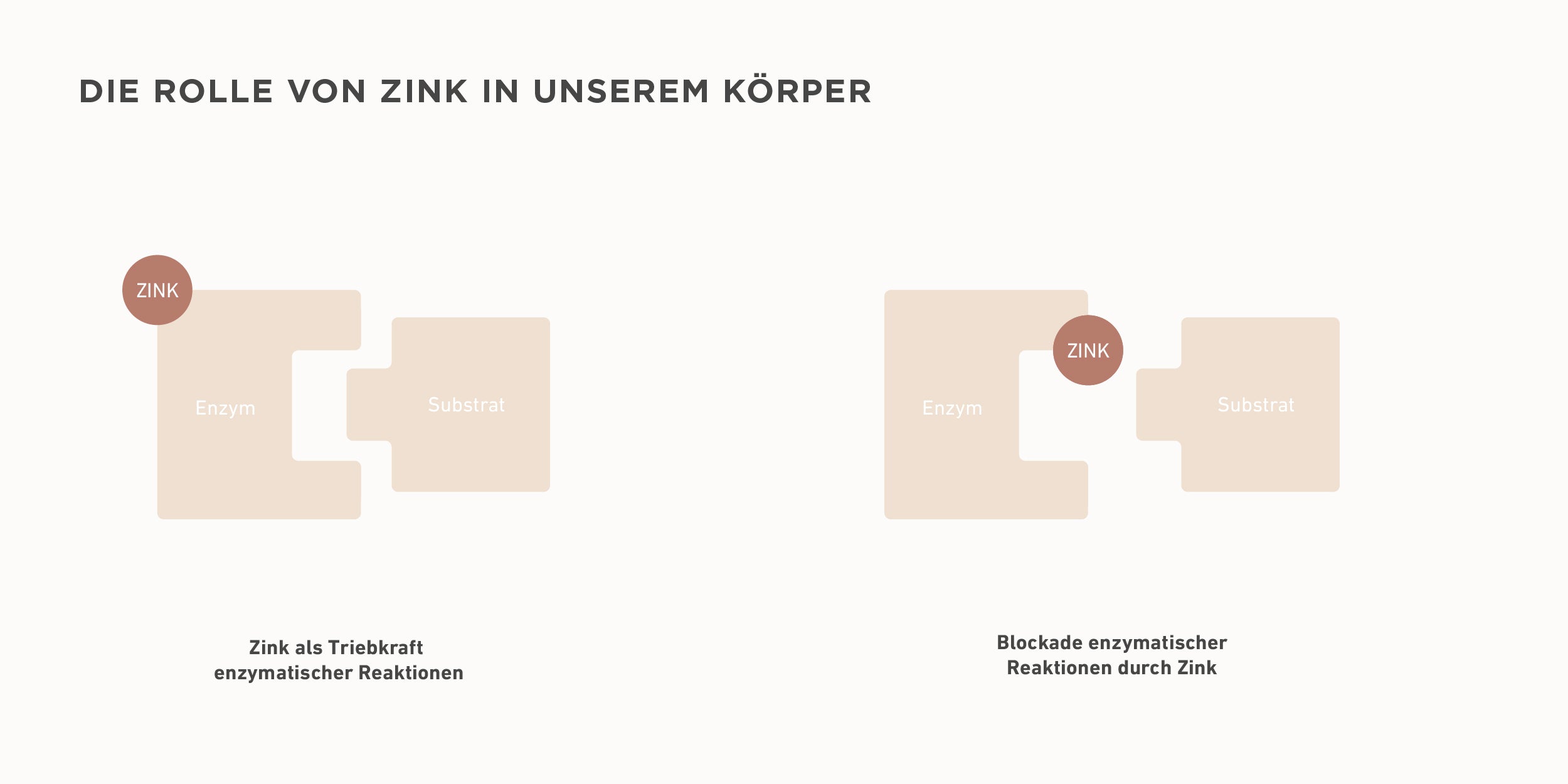 gesichtswasser-hautpflege-zink-unreine-haut