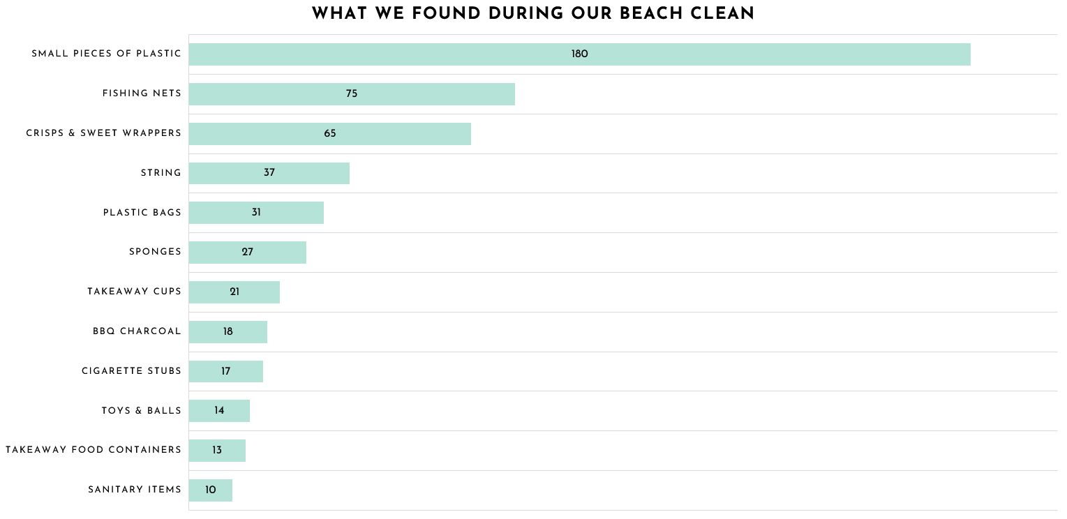 beach clean graph