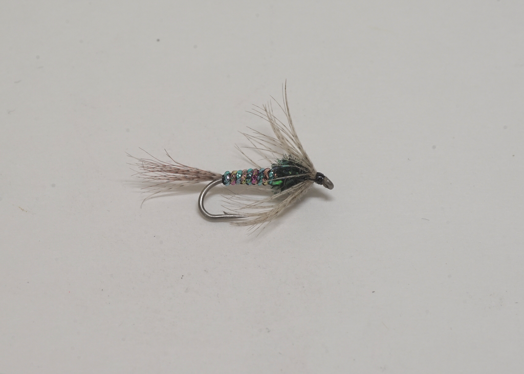 BB MICRO LEECH – Phil Rowley & Brian Chan's Stillwater Fly Fishing