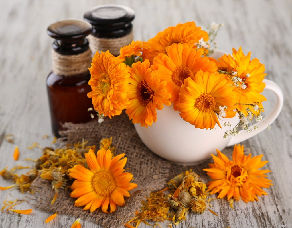 calendula benefits