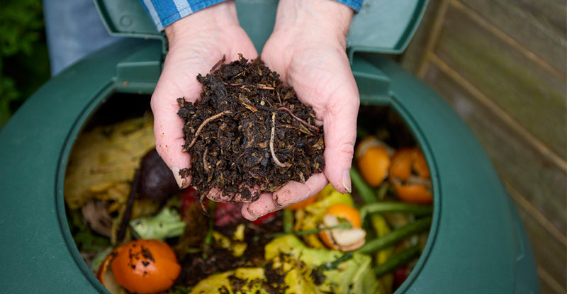 Compost pile