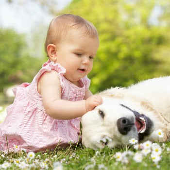 baby and dog playing in the grass