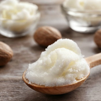 shea butter in wooden spoon with shea nuts in background