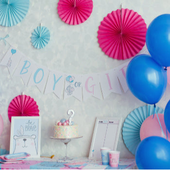 SHOP NO MESS GENDER REVEAL -  – Your Little Joy Shop