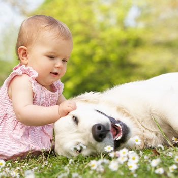 Kid cuddling with dog