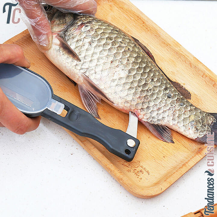 Utilisation Brosse à Écailler le Poisson Écailleur 2 en 1 - Tendances-cuisine.fr