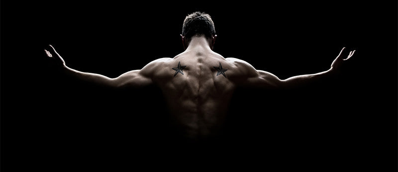 Muscular back of young man