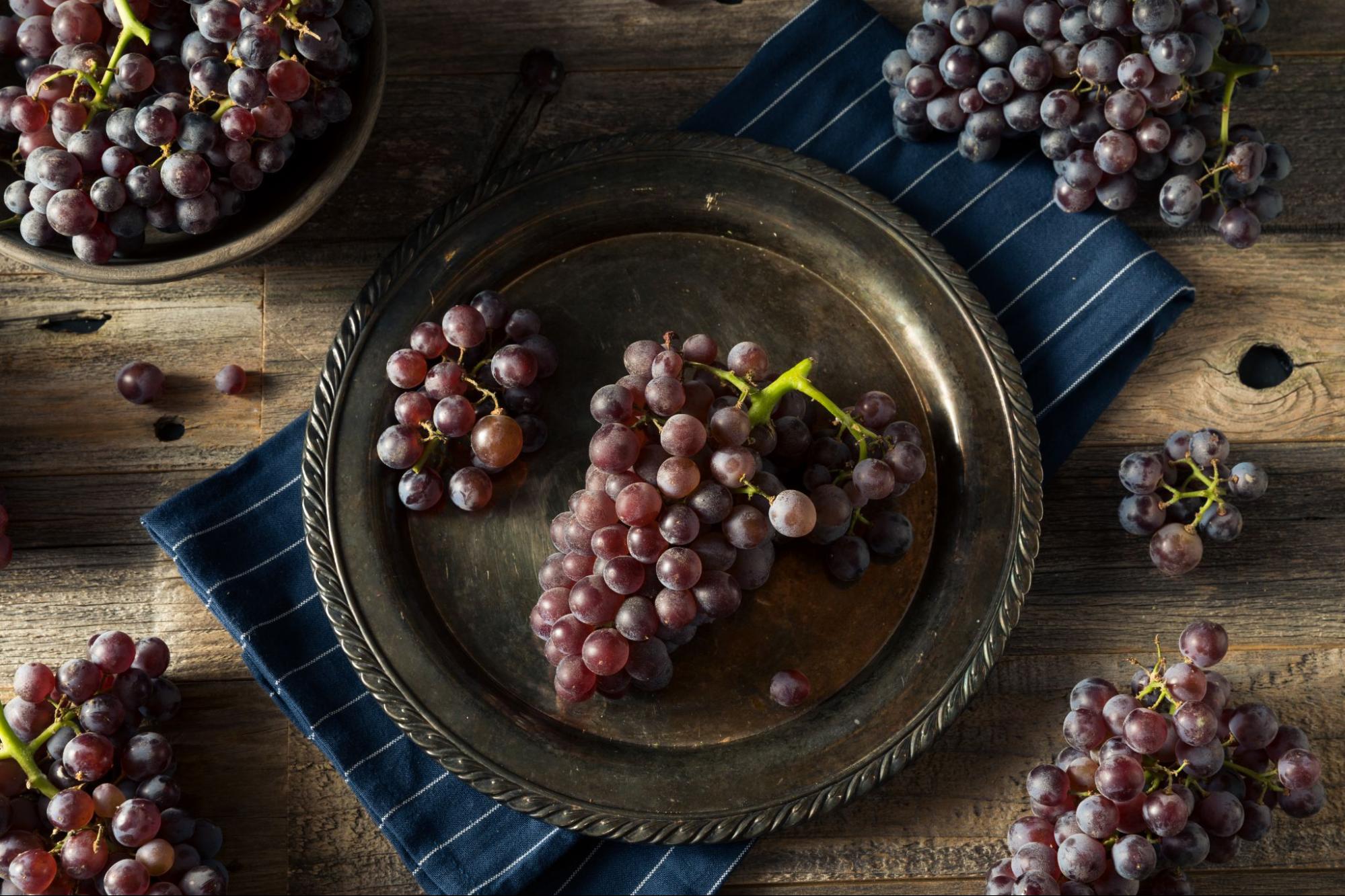 The difference between Merlot grapes and Pinot Noir grapes