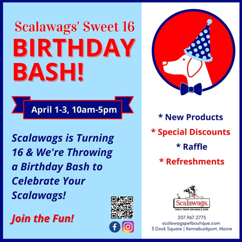 Scalawags Pet Boutique Birthday Bash