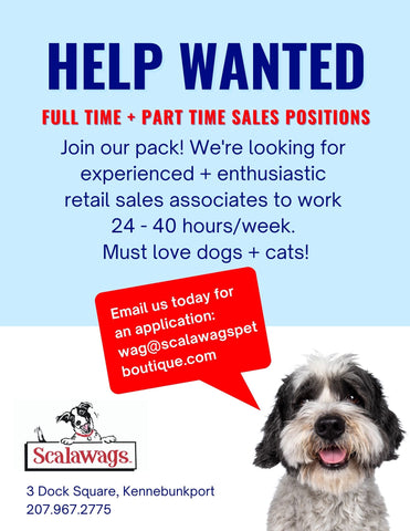 Scalawags is Hiring