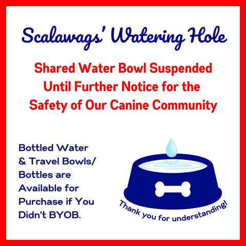 Scalawags' Public Water Bowl Suspended Temporarily