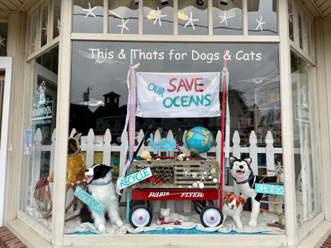 Scalawags Spring2023 Save Our Oceans Window Display