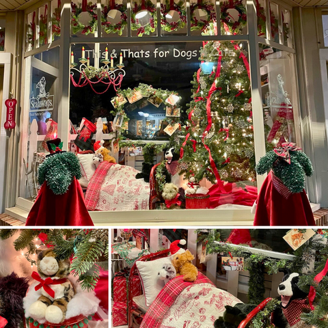 Scalawags Pet Boutique Holiday Window 2023