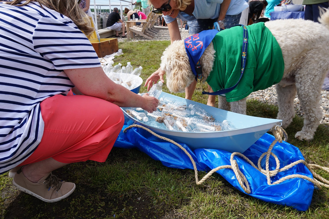 5 Simple Games To Play At Your Pet Business Event