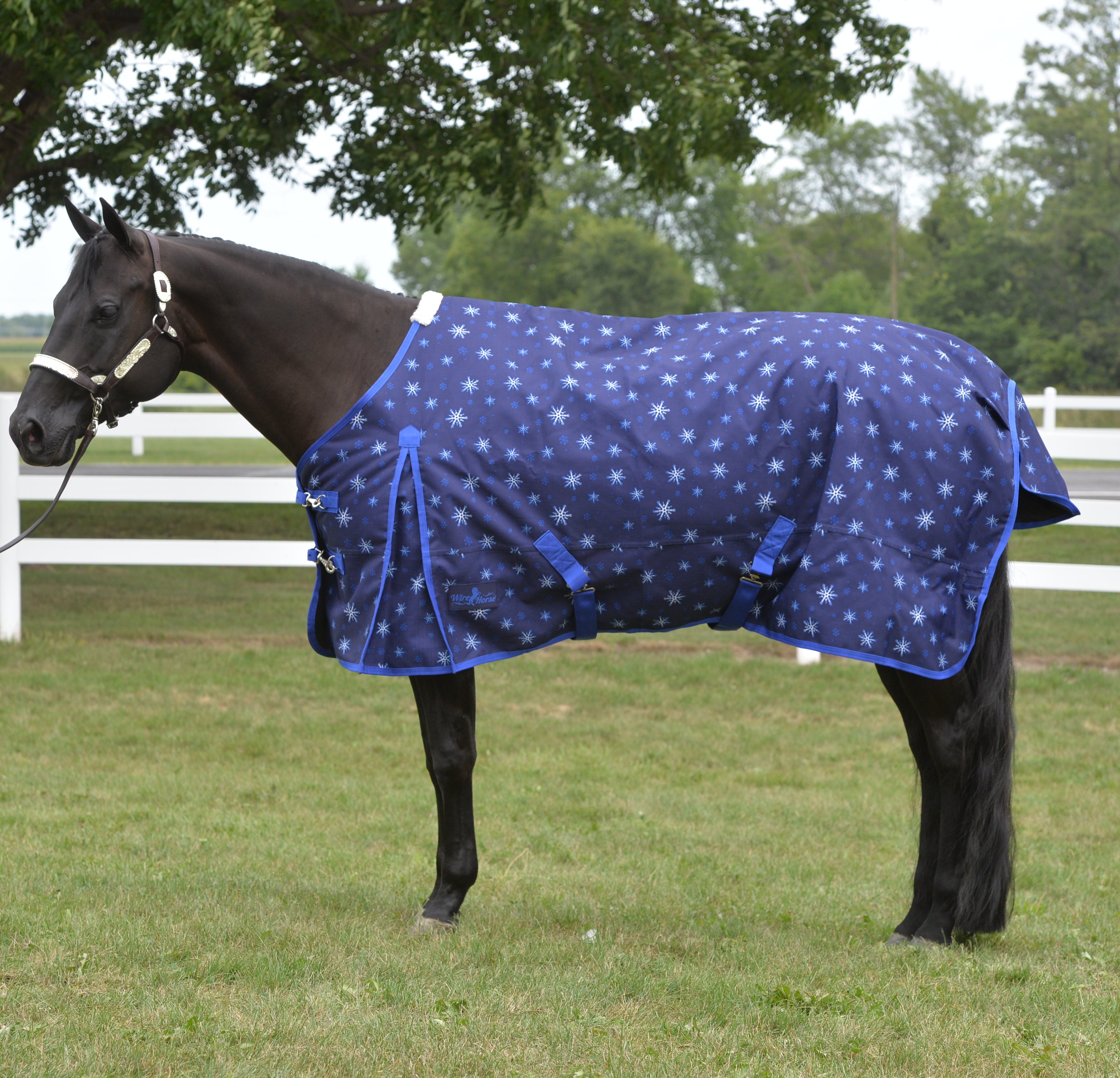 An Easy Guide To Winter Horse Blankets IFA's Helping To Grow Blog