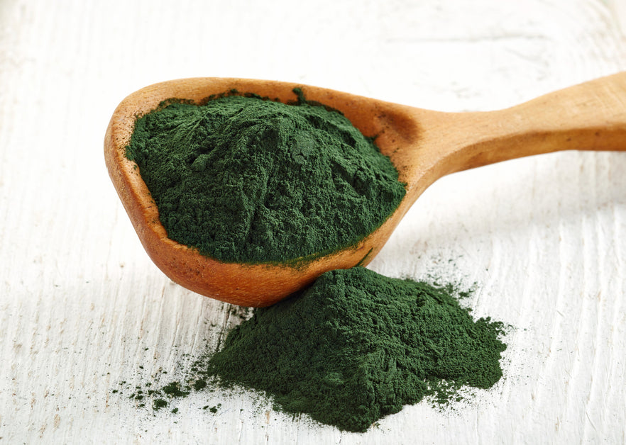 spirulina for dogs