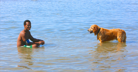 Man playing in water with dog