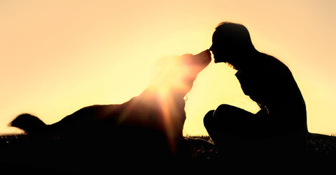 Dog and owner in sunset