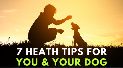 7 Health tips for you and your dog