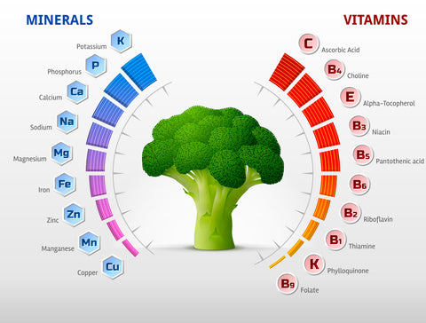 Broccoli with minerals and vitamins