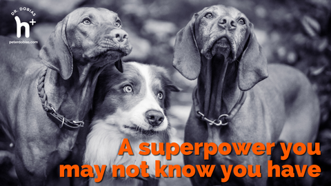 A superpower you may not know you have