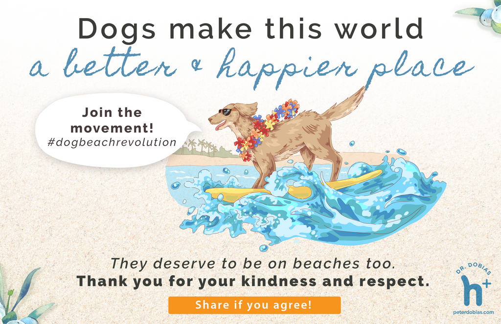 Beach sign - Dogs belong on the beach