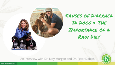 Dr. Judy Morgan Interview - Diarrhea in Dogs & Raw Food Diets