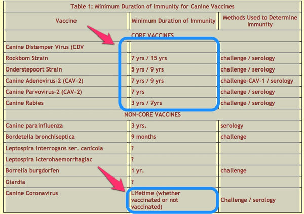Holistic Approach to Vaccination ofDogs and Puppies