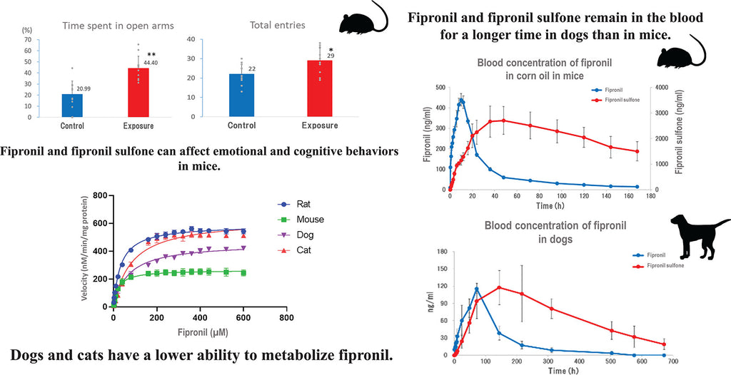 Fipronil levels in dogs