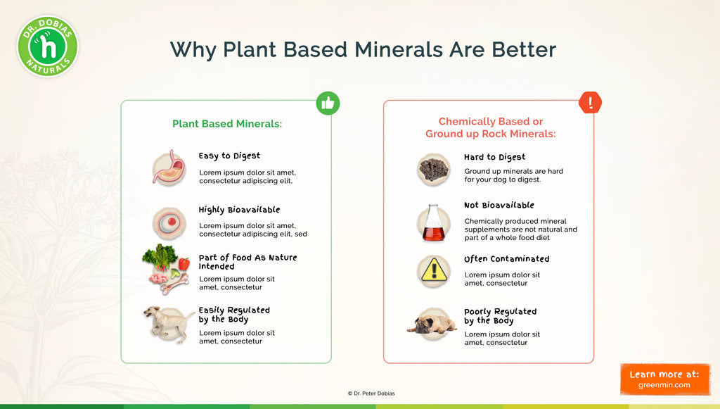 plant based minerals for dogs to prevent premature aging