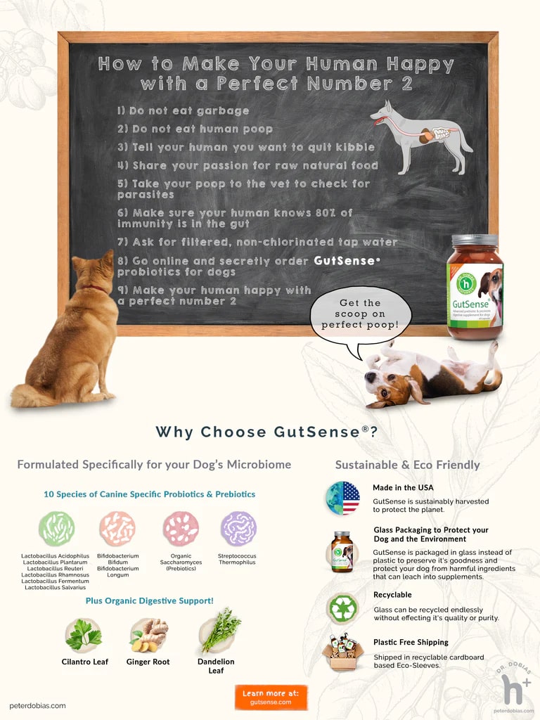 best dog probiotics 