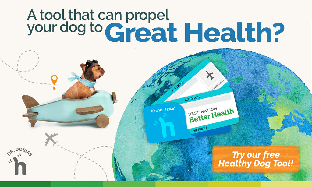 Healthy Dog Tool