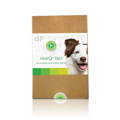 Best Dog Food For Epileptic Dogs Best Dog Food For Epileptic Dogs