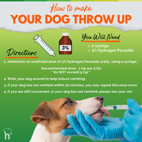 Instructions on how to make your dog throw up