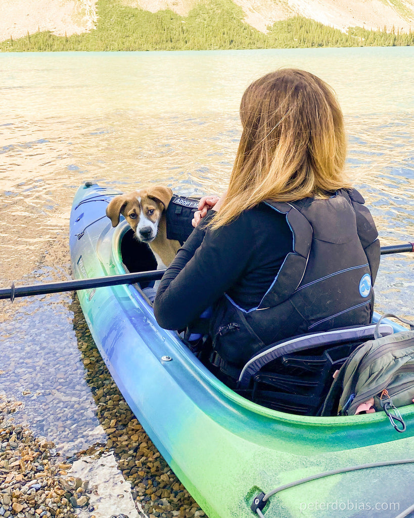 Tucker in adopt me vest in a kayak with foster mom