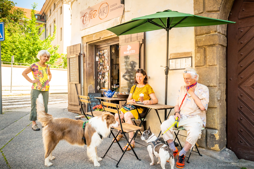 Pax at a cafe in Prague meeting another dog 