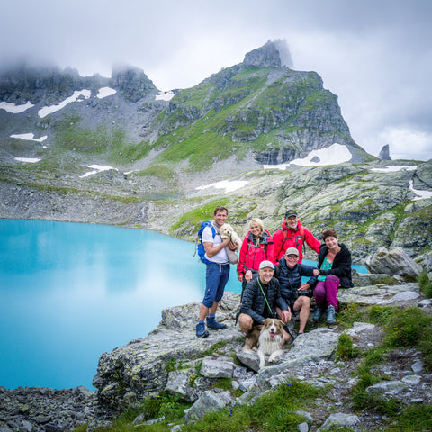 Hiking in the Swiss Alps with dogs and friends