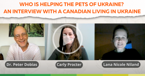 VIDEO: An interview with a frontline pet rescuer in Ukraine