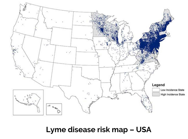 Lyme disease risk map - USA